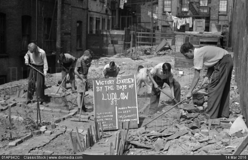 victory gardne neighborhood